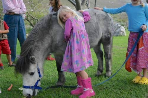 Wild Spirit Horses, Horse Training, Horse Listening, Brave Hearts Outreach