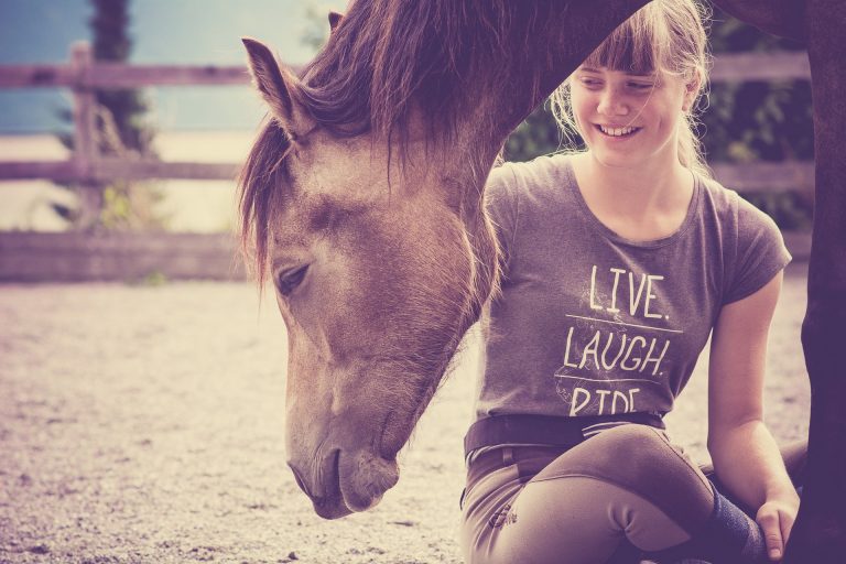 Wild Spirit Horses, Horse Training, Horse Listening, Brave Hearts Outreach
