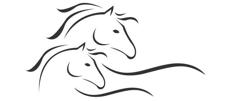 Wild Spirit Horses, Horse Training, Horse Listening, Brave Hearts Outreach